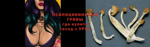 первитин Армянск