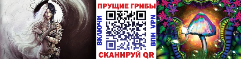 даркнет сайт Семилуки Псилоцибиновые грибы Psilocybine cubensis